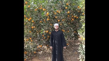 🌹❤️(سورة الأنفال كاملة)❤️🌹 صوت رائع وأداء متميز وإحساس راقى مع 🌹القارئ الشيخ محمد نورالدين السعدنى 🌹