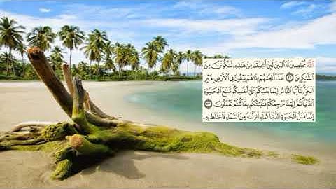 صفحة-211 page سعد الغامدي - -سورة يونس -10-Jonas) Yunus)