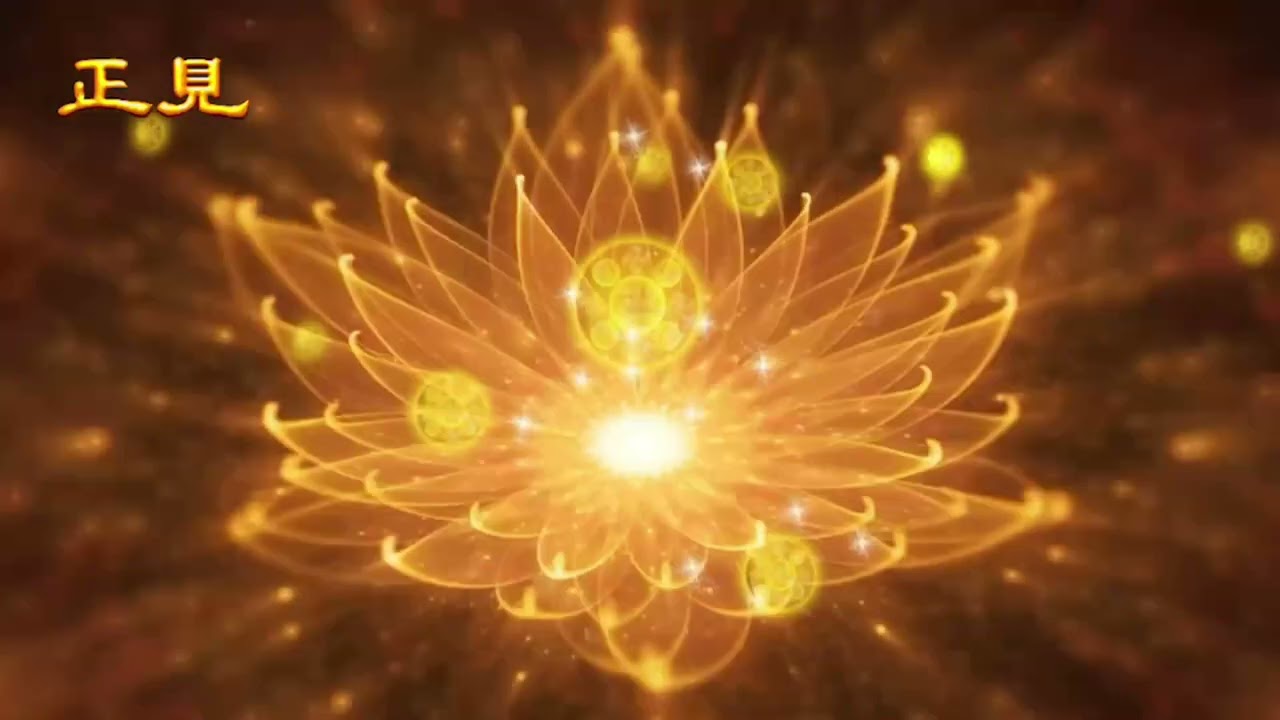 正見網- 輪迴紀實- 為法而來- YouTube