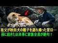 秋田犬と10匹の子犬を連れ帰ったおじいさん...病気の幼い孫に起きた“信じられない出来事”に家族は絶句!
