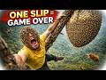 Trapped With a Giant Beehive (No Way Down)