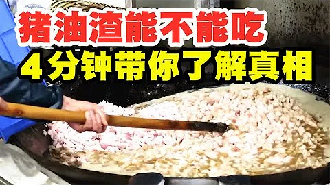 让人欲罢不能的“猪油渣”，吃了真会致癌吗？4分钟了解真相！【太空记】 - 天天要闻