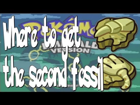 Where to get the second fossil on Pokemon Emerald