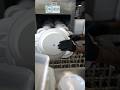Meet Re:Dish | Single-Use Plastic Challenge Participant #SingleUsePlastics #Challenge