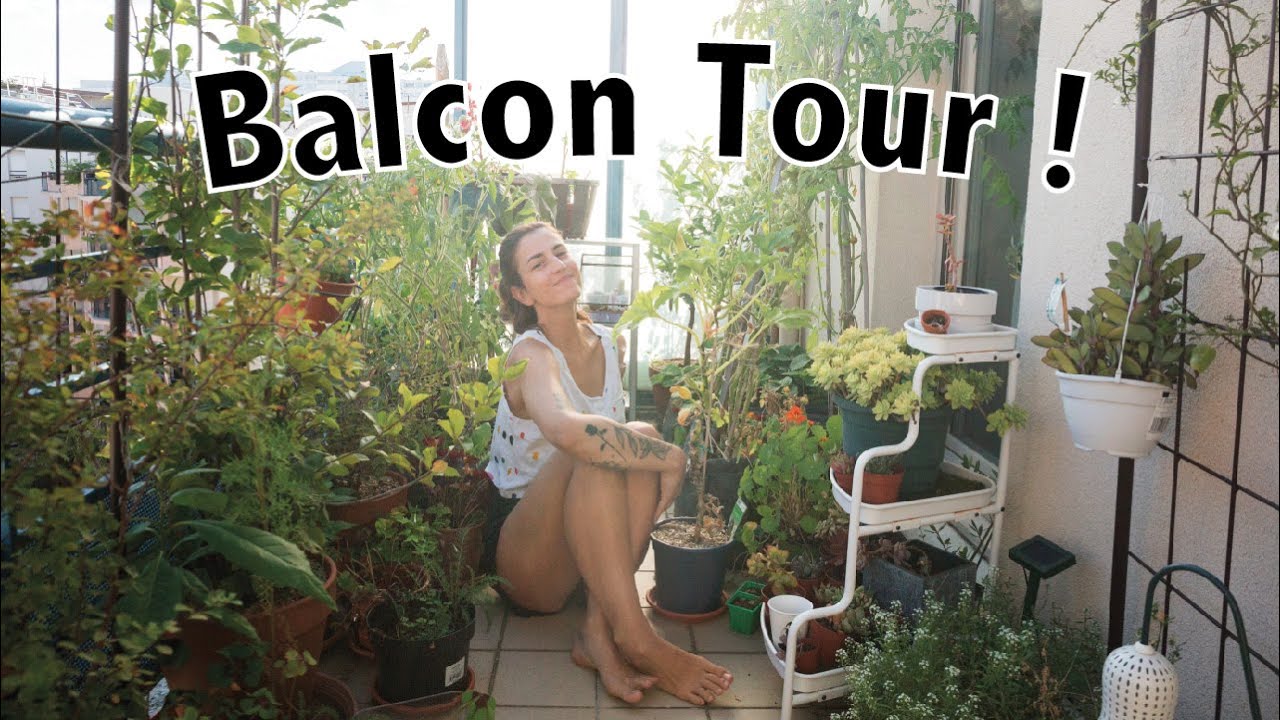 Petit tour de mon balcon plein sud à Lyon ! | Vertbobo