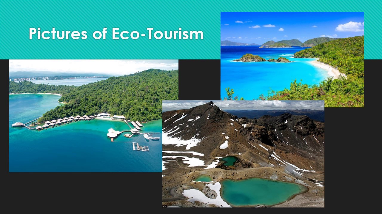 differentiate tourism and ecotourism