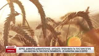 Διαμαντής Διαμαντόπουλος: Αλυσιδωτά προβλήματα για τους παραγωγούς, νέα ανησυχία για την ευλογιά