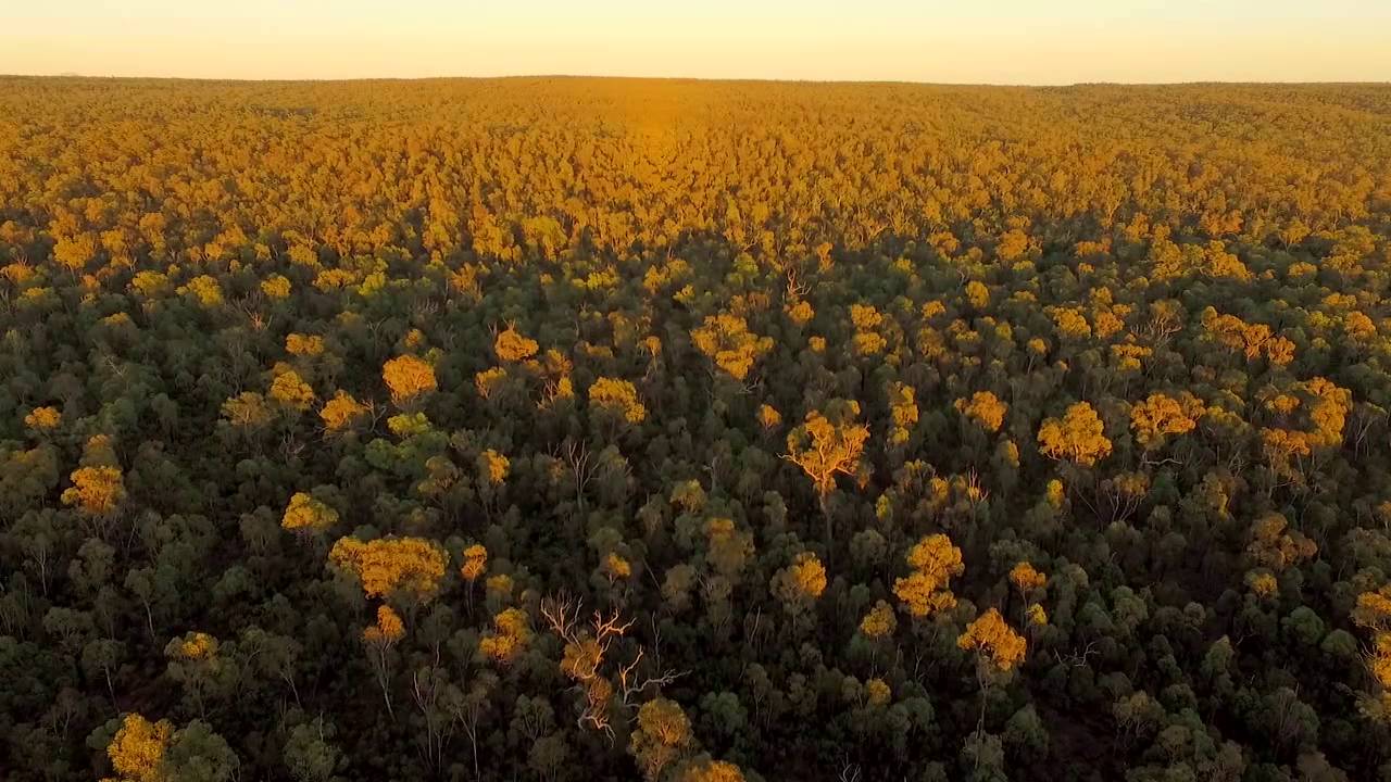 Protect the Pilliga Forest and the Great Artesian Basin