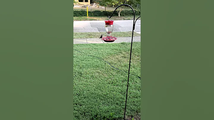 Hummers