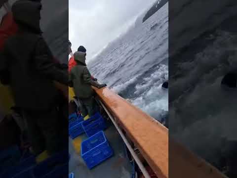 Https Www Facebook Com Share R 1BPVwGdwEx 