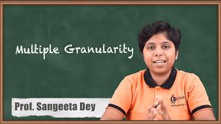 Multiple Granularity - Transaction Management - Database Management System