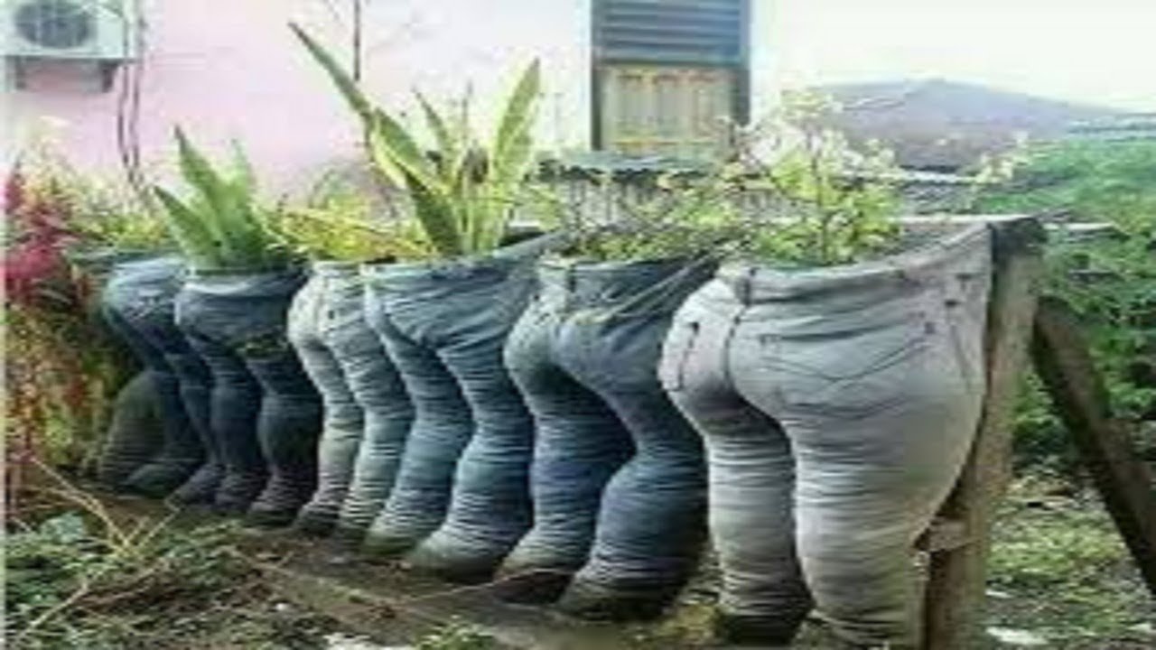 الطريقة السرية لزراعة الخضروات في الملابس القديمة بدون أي تكلفة إضافية