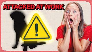 Attacked by a Dog at Work: Did This Vet Clinic Fail An Employee? | The Veterinary Roundtable - EP190