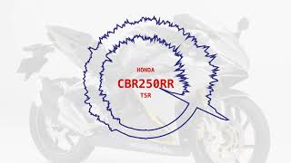 【TSRマフラー音】CBR250RR  テクニカルスポーツレーシング