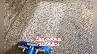 12 Dogs destroyed carpet in a trailer house living room. Can we save it!