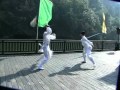 Wudang Kungfu Fighting - Sword vs. Horsetail Whisk ????