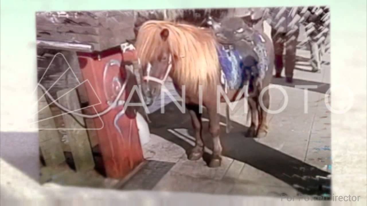 Sanjuanada Vilagarciana 2015.mp4 HD