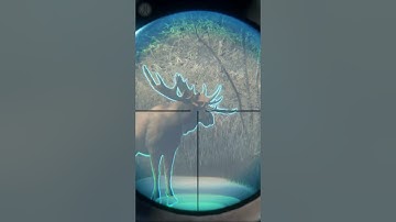 REALLY?!😲😲IS IT EVEN POSSIBLE? Moose Diamond Grind on Medved Taiga | the Hunter Call of the Wild