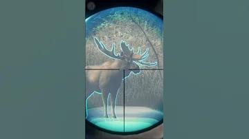 REALLY IS IT EVEN POSSIBLE Moose Diamond Grind On Medved Taiga The Hunter Call Of The Wild 