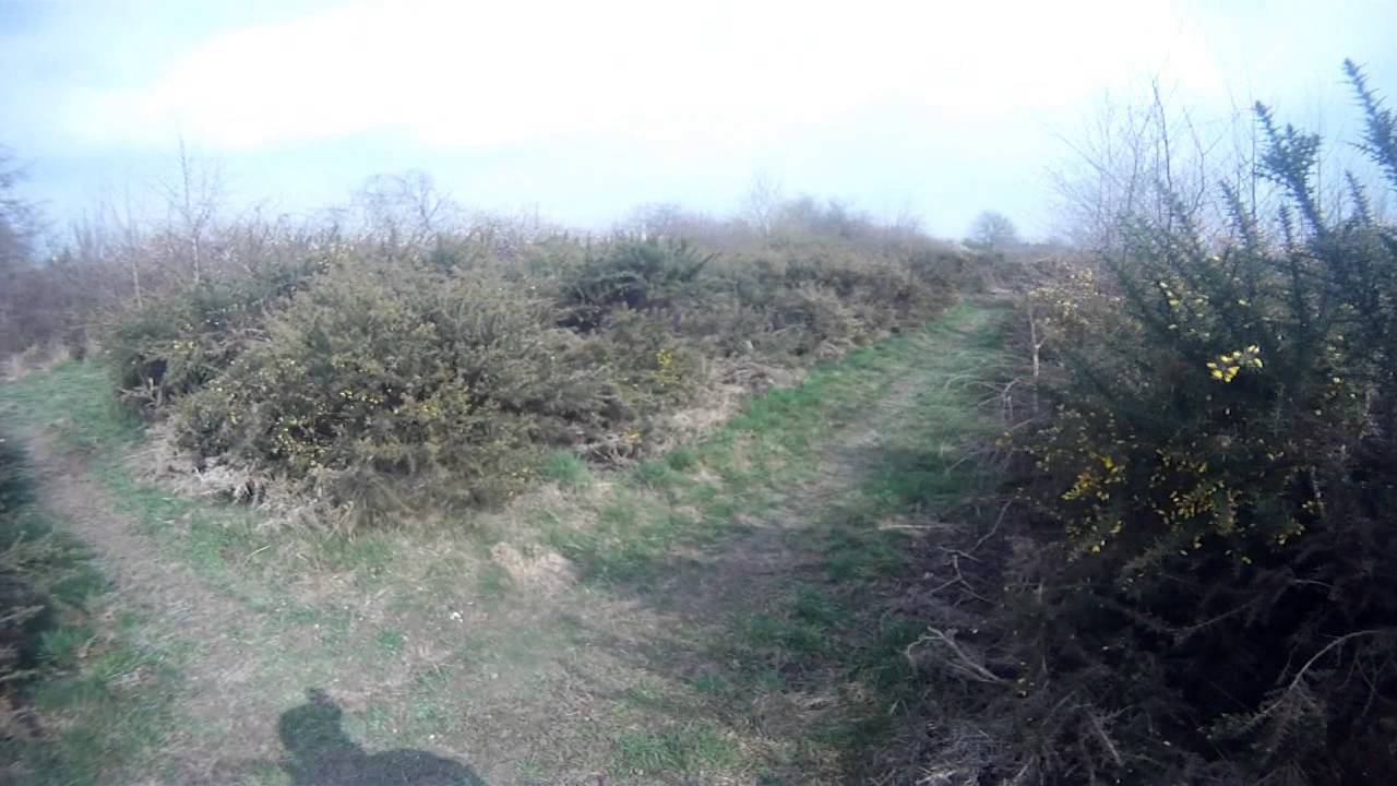 Chasse aux lapins 2014