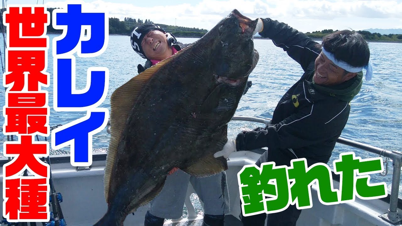 世界最大種のバケモノが釣れた アラスカ編 4 ラスト Youtube