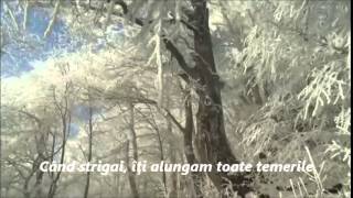 Evanescence - My Immortal (subtitrare română)