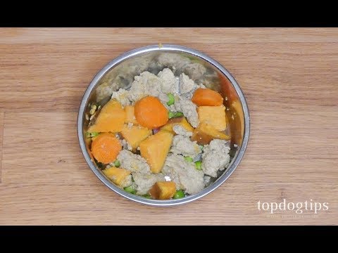 Homemade Dog Food for Itchy Skin