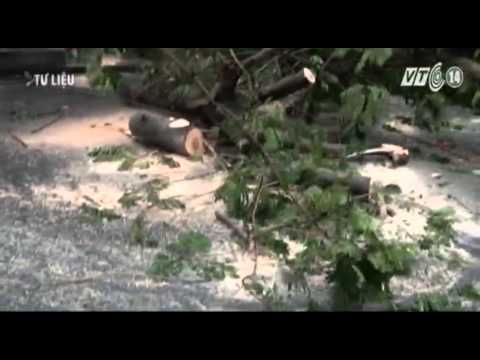 Video VTC14_Giao thông an toàn ngày 26.08.2015 - youtube