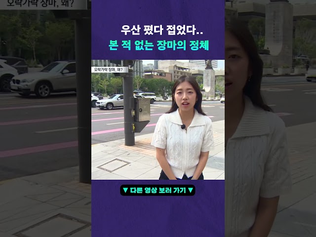 이게 장마가 맞나요? 오락가락 이상한 날씨 #뉴픽