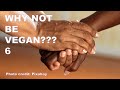 Why not be vegan reason 6