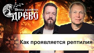 Как проявляется рептилия