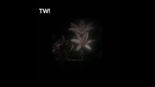 Gut wrenching edit audios because im tired. ||TW|| ||Timestamps in des||