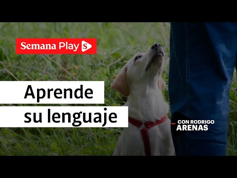 Aprende el lenguaje de tu perro| Rodrigo Arenas