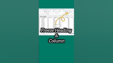 FREEZE Your Data in Excel with One Simple Trick!