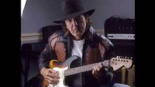 Tony Joe White Bayou Blues chords