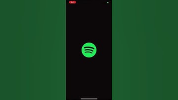 Spotify Widget on iOS14