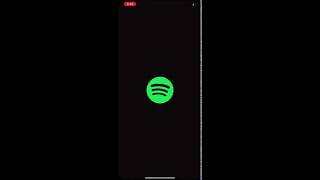 Spotify Widget on iOS14