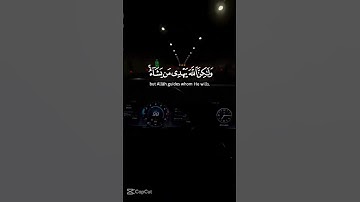 قران كريم بصوت الشيخ ياسر الدوسري #تلاوة_خاشعة #اكسبلور #قران_كريم #قرآن