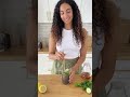 Do it Yourself Food and Drink Recipes 1