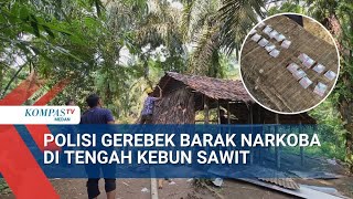 Satresnarkoba Polrestabes Medan Gerebek Barak Narkoba di Kabupaten Deli Serdang