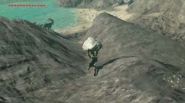 [DAY 444] of finding one korok seed everyday until Botw2 comes out