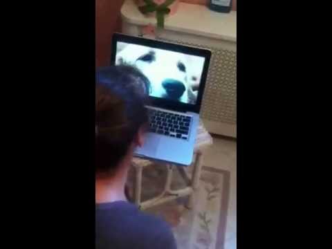 Mom Laughing At "Sad Dog Diary"