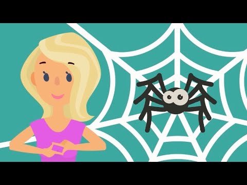 【Itsy Bitsy Spider♪】ちっちゃなクモさん♪ 小さなクモさん♪ 手遊び♪ 英語のうた♪ イッツビッツスパイダー ♪ itsy bitsy spider♪