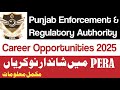 Punjab Enforcement and Regulatory Authority Career Opportunities | PERA Govt of Punjab Jobs 2025