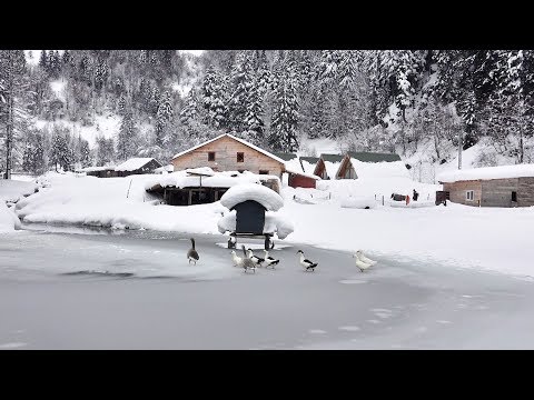 Karadeniz'de kar güzelliği