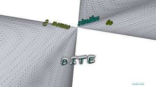 bite - 9 nouns synonym of bite (sentence examples)