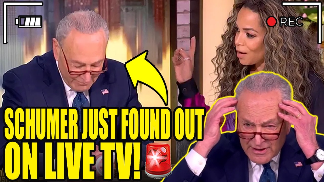 Chuck Schumer INSTANTLY REGRETS Going on The VIEW After THIS