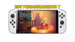 【烤鸭包课堂】动态锁帧|FPSLocker的使用教学：如何下载动态锁帧的游戏补丁