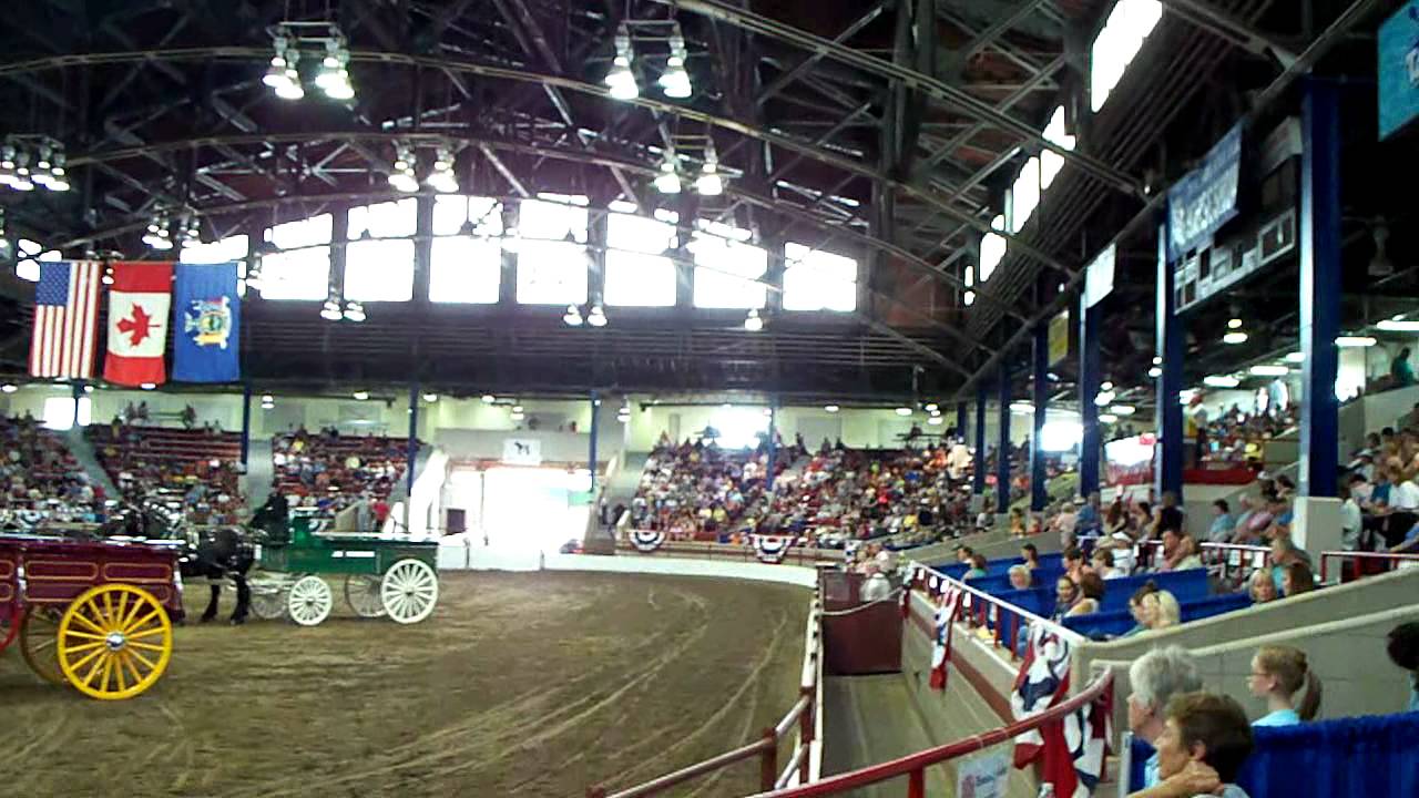 September 1, 2011 New York State Fair Horse Show (Part 1) YouTube