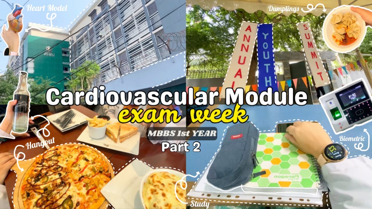 End of CVS Module Exam Week | MBBS 1st Year Vlog | Jinnah Sindh Medical University | Part 2